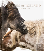 Horses Of Iceland