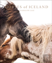 Horses Of Iceland