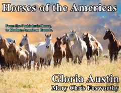 Horses Of The Americas