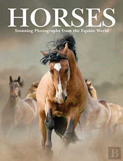 Bertrand.pt - Horses