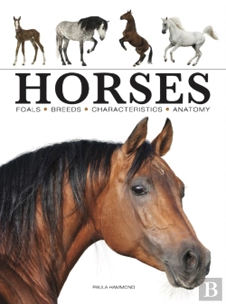 Bertrand.pt - Horses