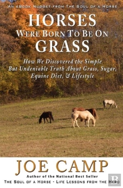 Bertrand.pt - Horses Were Born To Be On Grass