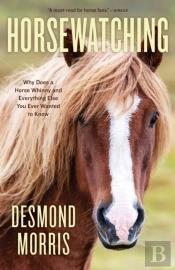 Horsewatching