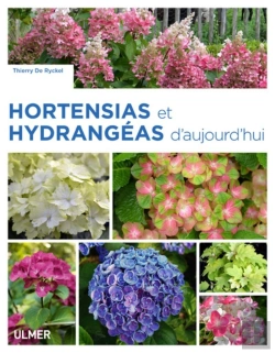 Bertrand.pt - Hortensias Et Hydrangéas D'Aujourd'Hui