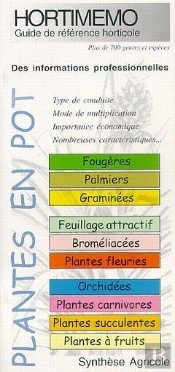 Hortimemo Plantes En Pot
