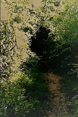 Bertrand.pt - Hortus Conclusus