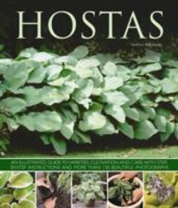 Bertrand.pt - Hostas