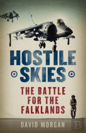 Hostile Skies
