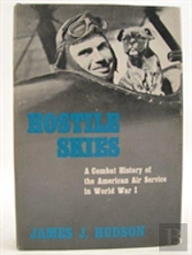 Hostile Skies