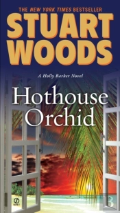 Hothouse Orchid