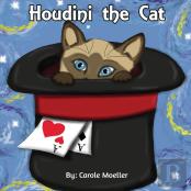 Houdini The Cat
