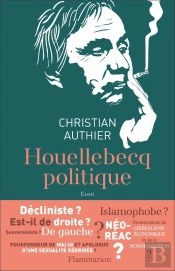 Houellebecq Politique