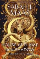 House Of Flame And Shadow
