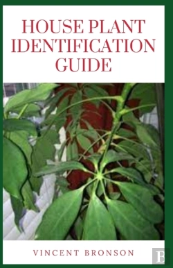 Bertrand.pt - House Plant Identification Guide