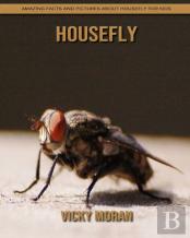 Housefly