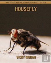 Housefly