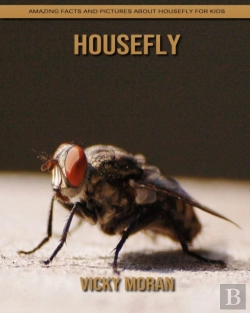 Bertrand.pt - Housefly