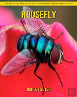 Bertrand.pt - Housefly