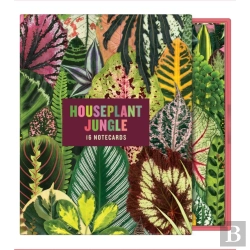 Bertrand.pt - Houseplant Jungle Greeting Assortment Notecards