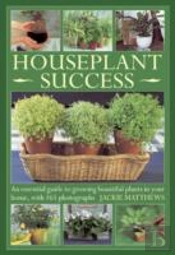 Houseplant Success