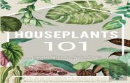 Houseplants 101