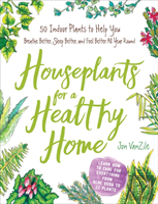 Houseplants For A Healthy Home