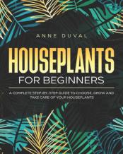 Houseplants For Beginners