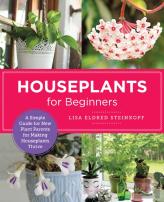 Houseplants For Beginners