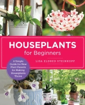 Houseplants For Beginners