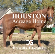 Houston Acreage Home