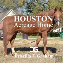 Bertrand.pt - Houston Acreage Home