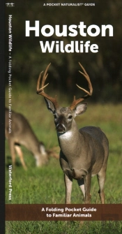 Houston Wildlife