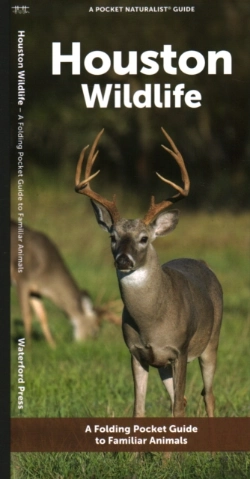 Bertrand.pt - Houston Wildlife