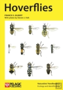 Bertrand.pt - Hoverflies