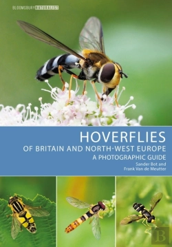 Bertrand.pt - Hoverflies Of Britain And North-West Europe