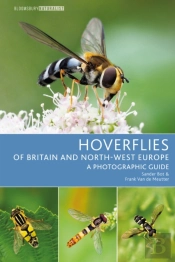 Hoverflies Of Britain And North-West Europe