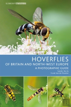 Bertrand.pt - Hoverflies Of Britain And North-West Europe