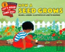 How A Seed Grows