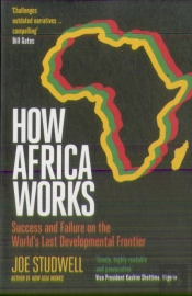 How Africa Works