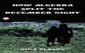 How Algebra Split The December Night