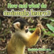 How And What Do Animals Learn