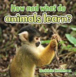 Bertrand.pt - How And What Do Animals Learn
