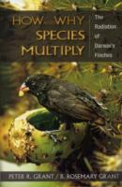 Bertrand.pt - How And Why Species Multiply