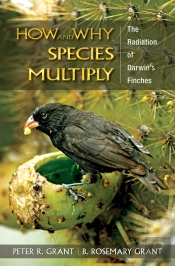 How And Why Species Multiply