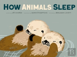 Bertrand.pt - How Animals Sleep