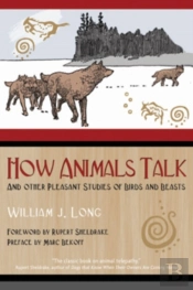 How Animals Talk