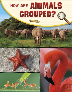 Bertrand.pt - How Are Animals Grouped?