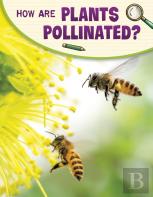 How Are Plants Pollinated?