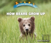 How Bears Grow Up