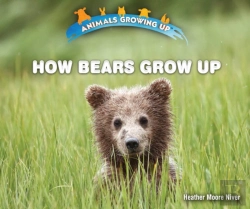 Bertrand.pt - How Bears Grow Up